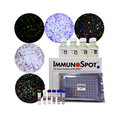 immunospot products